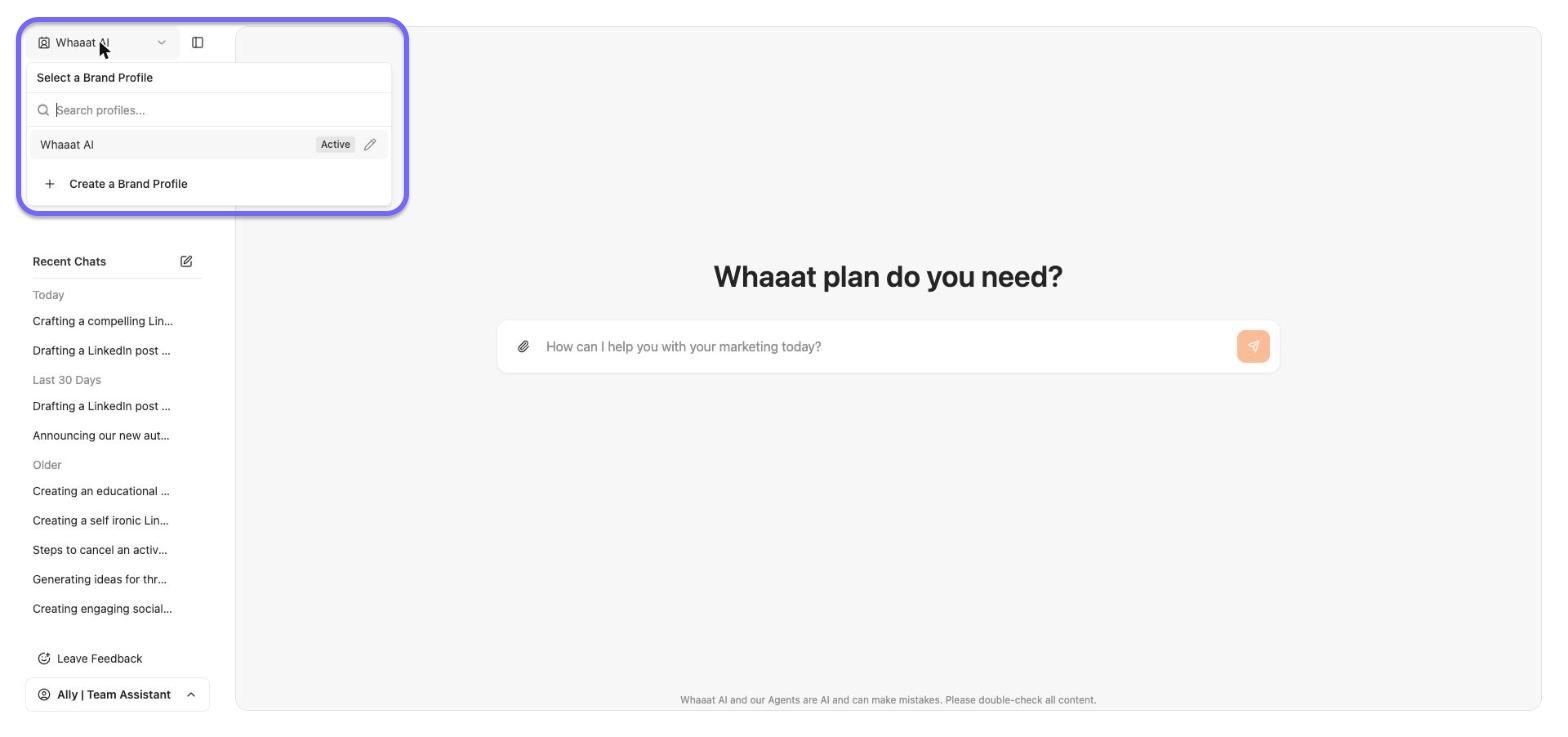 Choose and edit your Brand Profile